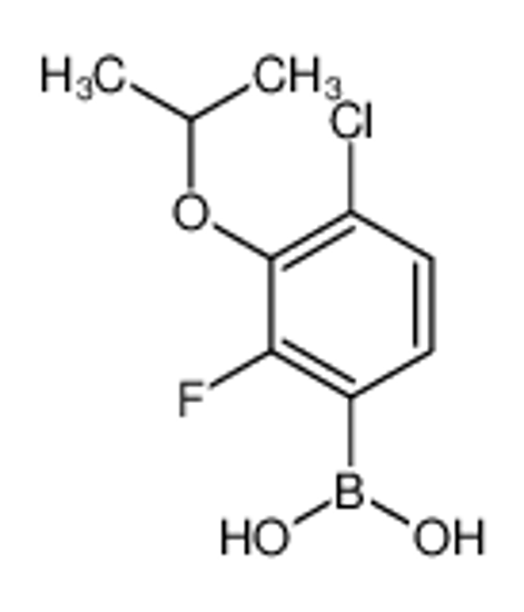 Picture of (4-chloro-2-fluoro-3-propan-2-yloxyphenyl)boronic acid