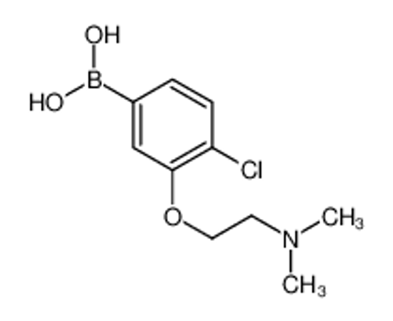 Picture of [4-chloro-3-[2-(dimethylamino)ethoxy]phenyl]boronic acid