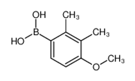 Picture of (4-Methoxy-2,3-dimethylphenyl)boronic acid