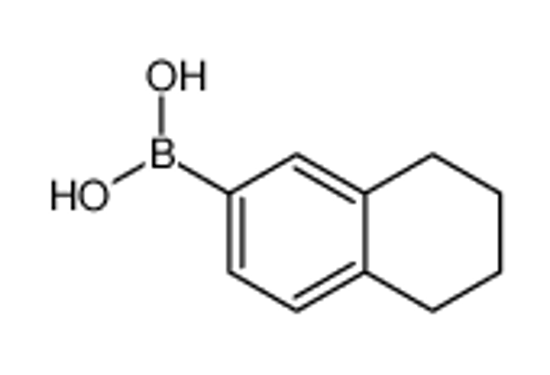 Picture of 5,6,7,8-tetrahydronaphthalen-2-yl boronic acid