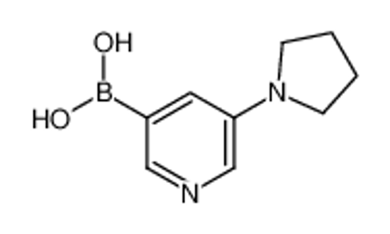 Изображение (5-(Pyrrolidin-1-yl)pyridin-3-yl)boronic acid