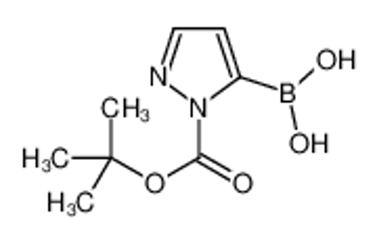 Picture of (1-(tert-Butoxycarbonyl)-1H-pyrazol-5-yl)boronic acid