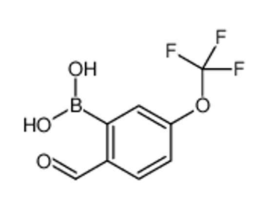 Picture of [2-Formyl-5-(trifluoromethoxy)phenyl]boronic acid