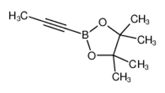 Picture of 4,4,5,5-tetramethyl-2-prop-1-ynyl-1,3,2-dioxaborolane
