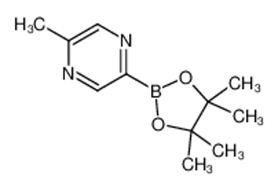 Picture of 2-Methyl-5-(4,4,5,5-tetramethyl-1,3,2-dioxaborolan-2-yl)pyrazine