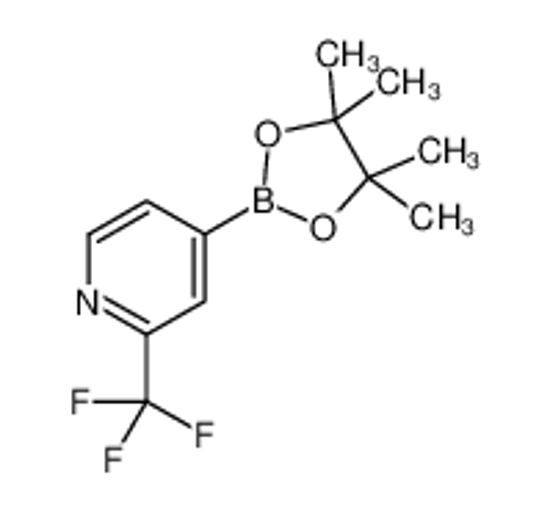 Изображение 4-(4,4,5,5-Tetramethyl-1,3,2-dioxaborolan-2-yl)-2-(trifluoromethyl)pyridine