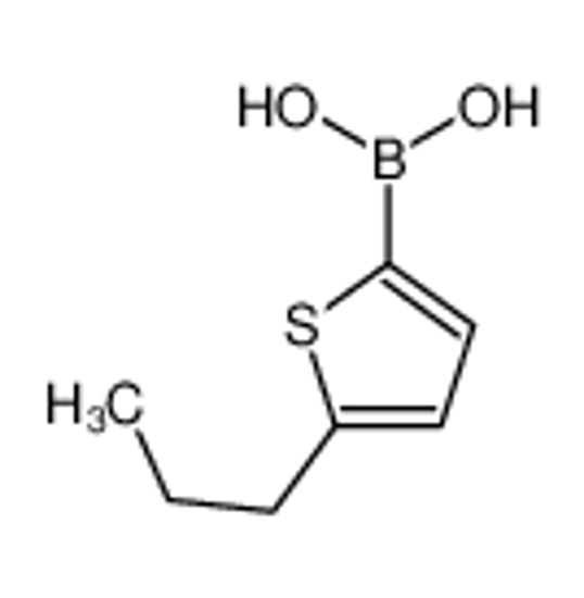 Picture of (5-propylthiophen-2-yl)boronic acid