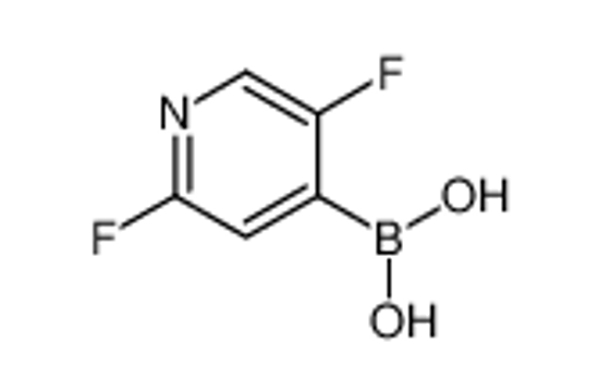 Picture of (2,5-difluoropyridin-4-yl)boronic acid