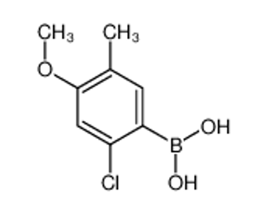 Picture of (2-Chloro-4-methoxy-5-methylphenyl)boronic acid