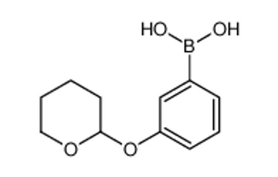 Picture of (3-((Tetrahydro-2H-pyran-2-yl)oxy)phenyl)boronic acid