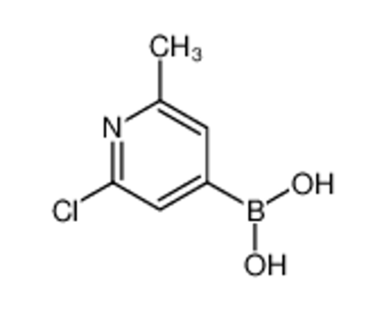 Picture of (2-chloro-6-methylpyridin-4-yl)boronic acid