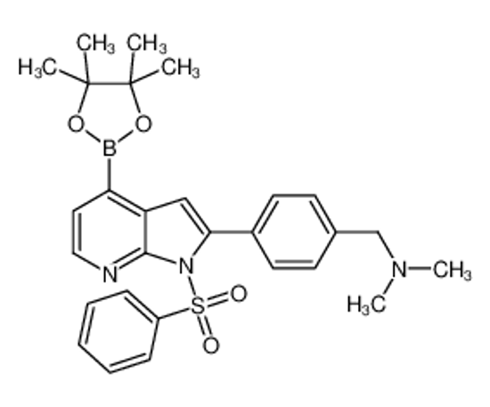 Picture of 1-[4-[1-(benzenesulfonyl)-4-(4,4,5,5-tetramethyl-1,3,2-dioxaborolan-2-yl)pyrrolo[2,3-b]pyridin-2-yl]phenyl]-N,N-dimethylmethanamine