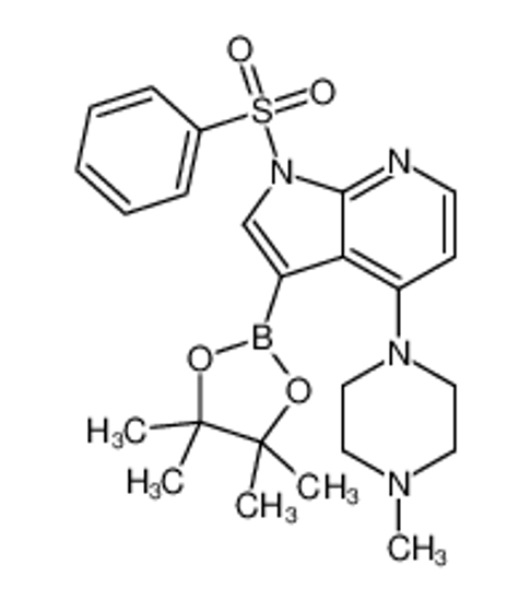 Imagem de 4-(4-Methyl-1-piperazinyl)-1-(phenylsulfonyl)-3-(4,4,5,5-tetramet hyl-1,3,2-dioxaborolan-2-yl)-1H-pyrrolo[2,3-b]pyridine