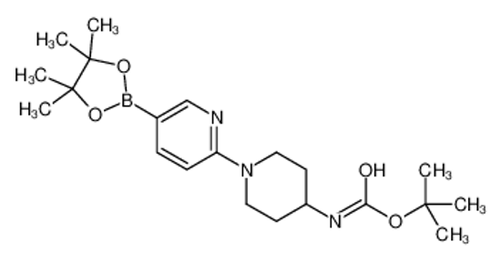 Imagem de 2-Methyl-2-propanyl {1-[5-(4,4,5,5-tetramethyl-1,3,2-dioxaborolan -2-yl)-2-pyridinyl]-4-piperidinyl}carbamate