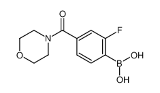 Picture of [2-Fluoro-4-(4-morpholinylcarbonyl)phenyl]boronic acid