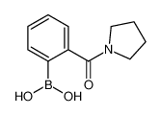 Picture of [2-(1-Pyrrolidinylcarbonyl)phenyl]boronic acid