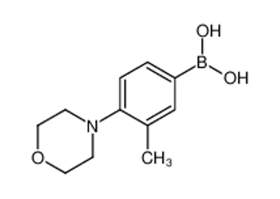 Picture of [3-Methyl-4-(4-morpholinyl)phenyl]boronic acid
