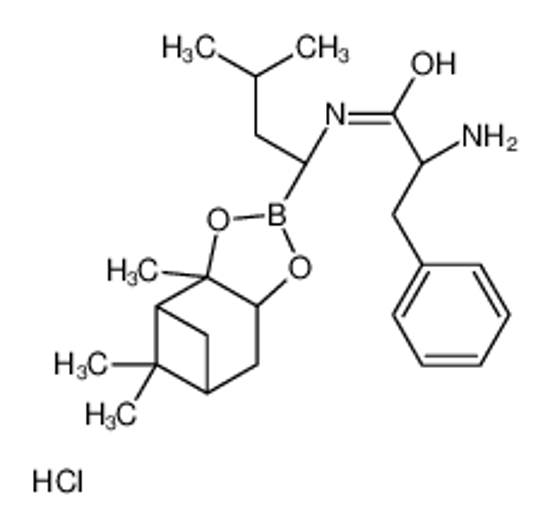 Picture of N-{(1R)-3-Methyl-1-[(1S,2S,6R,8S)-2,9,9-trimethyl-3,5-dioxa-4-boratricyclo[6.1.1.0<sup>2,6</sup>]dec-4-yl]butyl}-L-phenylalaninamide hydrochloride (1:1)