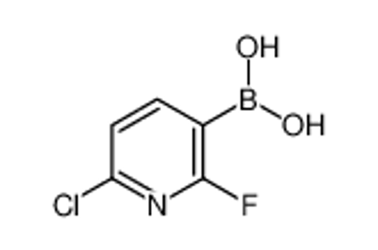 Picture of (6-Chloro-2-fluoropyridin-3-yl)boronic acid