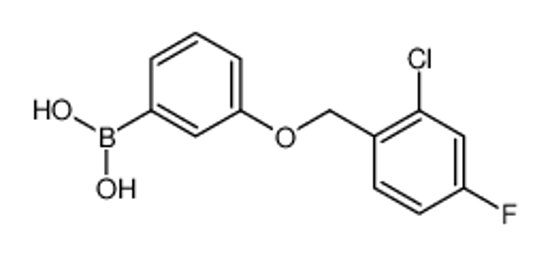 Picture of [3-[(2-chloro-4-fluorophenyl)methoxy]phenyl]boronic acid