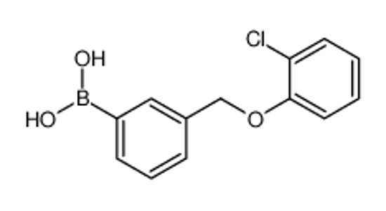 Picture of [3-[(2-chlorophenoxy)methyl]phenyl]boronic acid