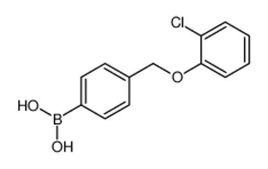 Picture of [4-[(2-chlorophenoxy)methyl]phenyl]boronic acid