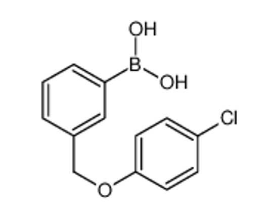 Picture of [3-[(4-chlorophenoxy)methyl]phenyl]boronic acid