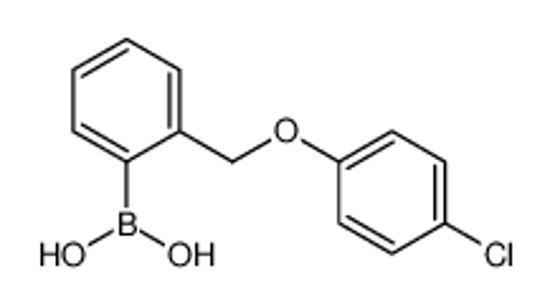 Picture of [2-[(4-chlorophenoxy)methyl]phenyl]boronic acid