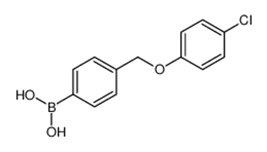 Picture of [4-[(4-chlorophenoxy)methyl]phenyl]boronic acid