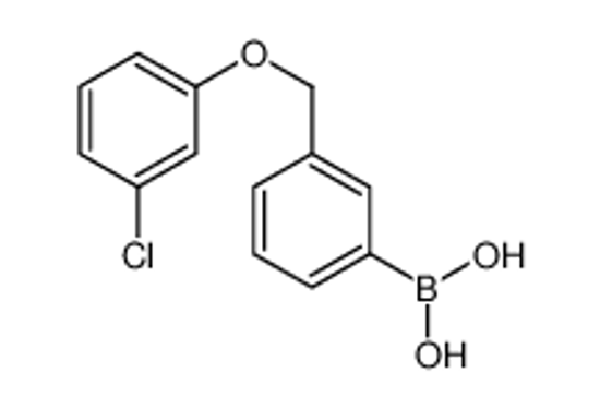 Picture of [3-[(3-chlorophenoxy)methyl]phenyl]boronic acid