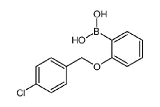 Picture of [2-[(4-chlorophenyl)methoxy]phenyl]boronic acid