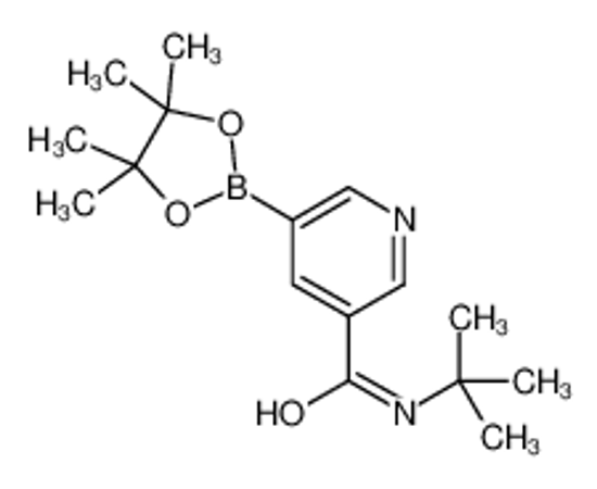 Picture of N-(tert-Butyl)-5-(4,4,5,5-tetramethyl-1,3,2-dioxaborolan-2-yl)nicotinamide