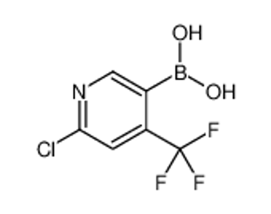 Picture of (6-Chloro-4-(trifluoromethyl)pyridin-3-yl)boronic acid