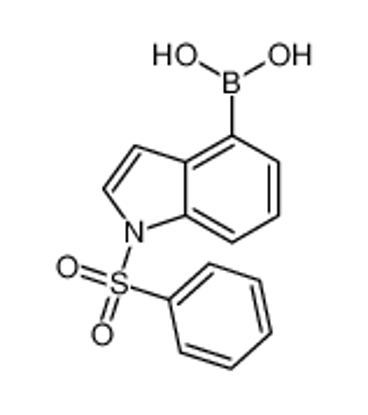 Picture of (1-(Phenylsulfonyl)-1H-indol-4-yl)boronic acid