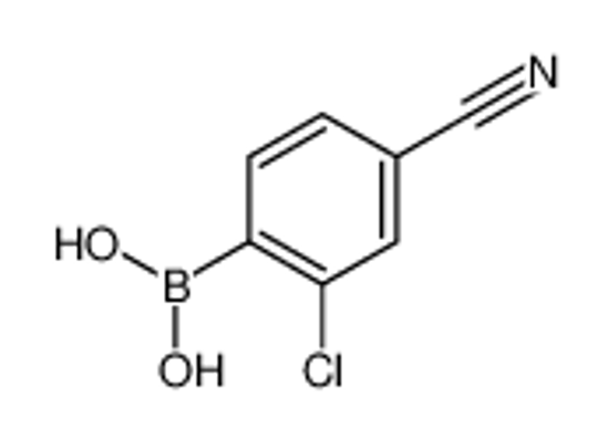 Изображение (2-Chloro-4-cyanophenyl)boronic acid