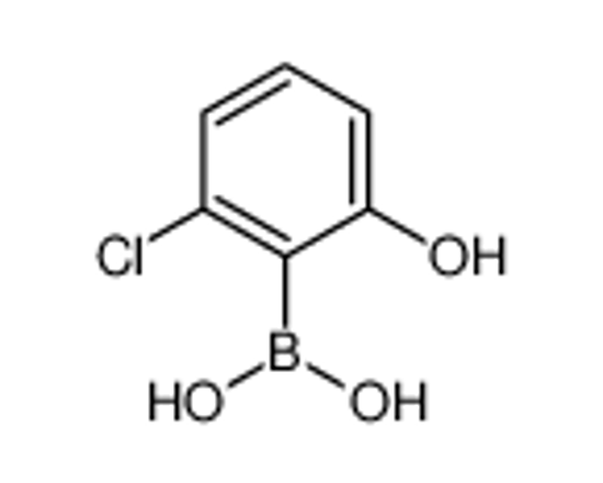 Picture of (2-Chloro-6-hydroxyphenyl)boronic acid