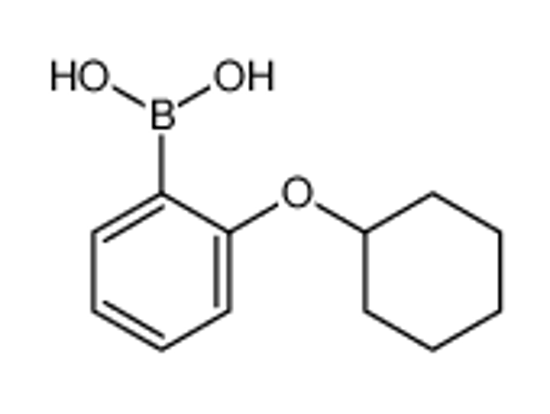 Picture of (2-(Cyclohexyloxy)phenyl)boronic acid