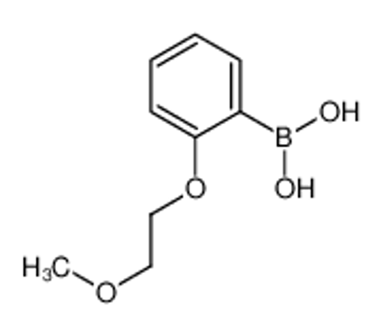 Picture of [2-(2-methoxyethoxy)phenyl]boronic acid