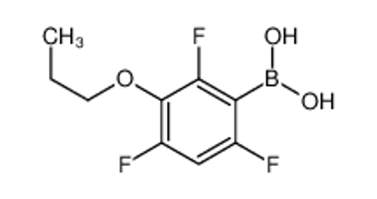 Picture of (2,4,6-Trifluoro-3-propoxyphenyl)boronic acid