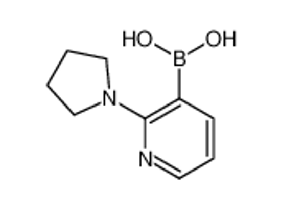Изображение (2-pyrrolidin-1-ylpyridin-3-yl)boronic acid