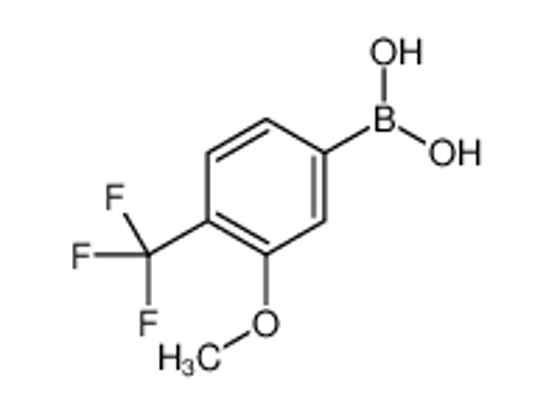 Picture of [3-Methoxy-4-(trifluoromethyl)phenyl]boronic acid