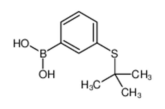 Picture of (3-tert-butylsulfanylphenyl)boronic acid