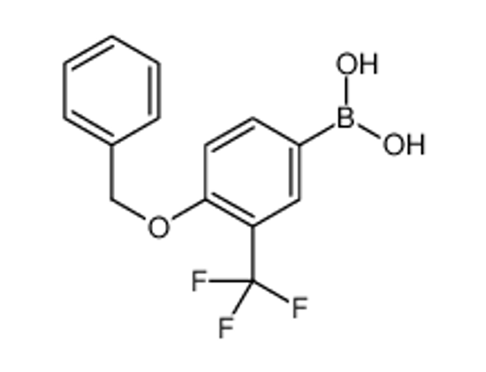 Picture of (4-(Benzyloxy)-3-(trifluoromethyl)phenyl)boronic acid