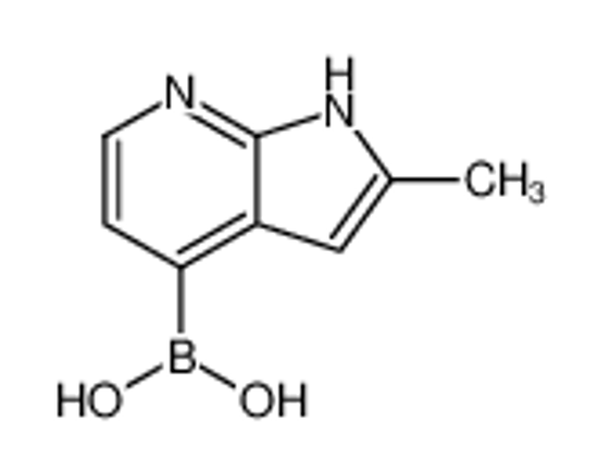 Picture of (2-Methyl-1H-pyrrolo[2,3-b]pyridin-4-yl)boronic acid