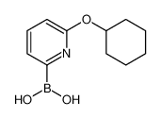Picture of (6-cyclohexyloxypyridin-2-yl)boronic acid