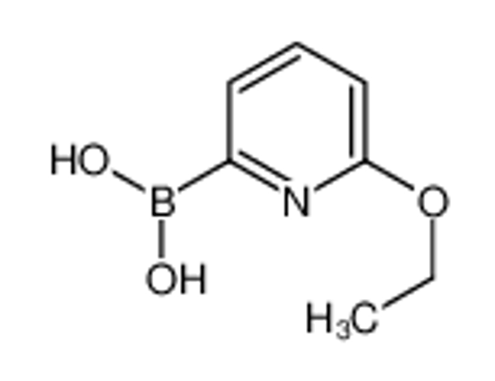 Picture of (6-ethoxypyridin-2-yl)boronic acid
