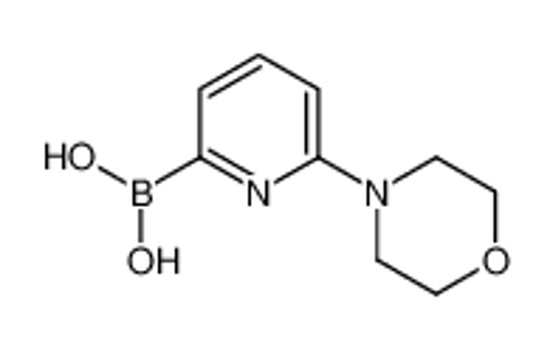 Picture of (6-morpholin-4-ylpyridin-2-yl)boronic acid