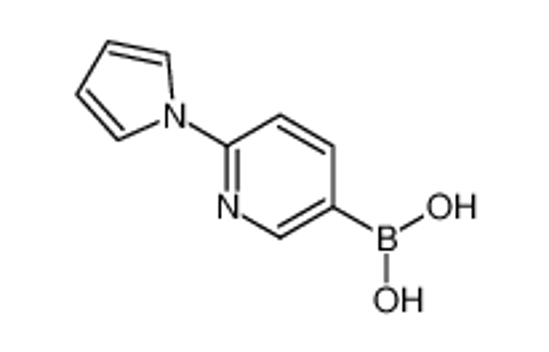 Picture of (6-pyrrol-1-ylpyridin-3-yl)boronic acid
