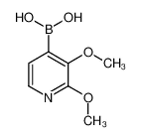 Picture of (2,3-Dimethoxypyridin-4-yl)boronic acid