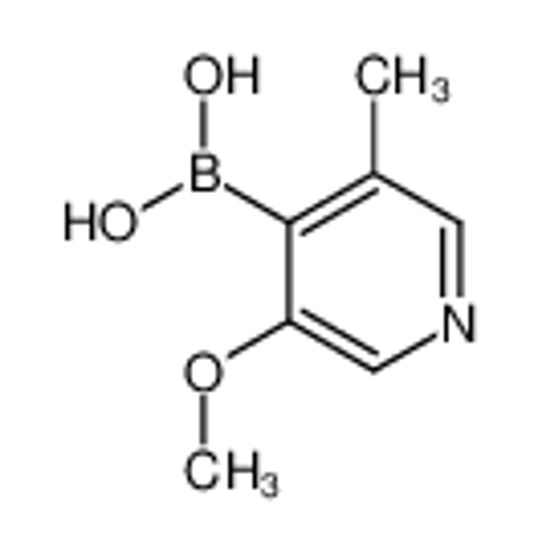Picture of (3-methoxy-5-methylpyridin-4-yl)boronic acid